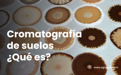 ¿Qué es la cromatografía de suelos? Descripción del método básico