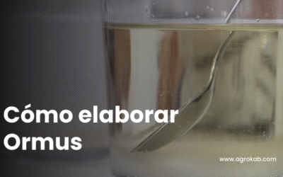 Cómo hacer Ormus marino: con 5 ingredientes esenciales