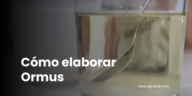 Cómo hacer Ormus marino: con 5 ingredientes esenciales
