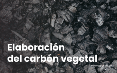 Cómo hacer carbón vegetal : Beneficios y usos para plantas