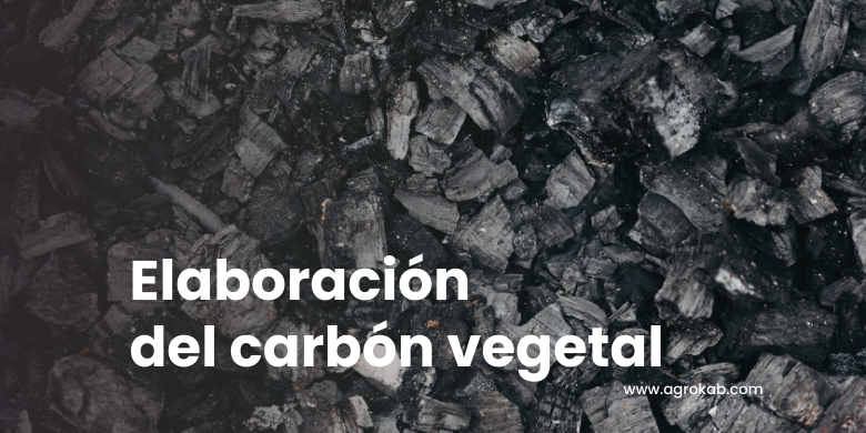 Cómo hacer carbón vegetal : Beneficios y usos para plantas