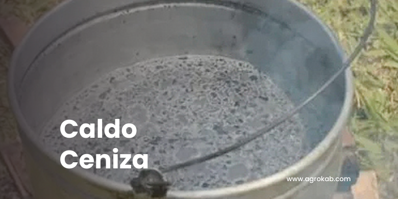 Caldo Ceniza Caldo Ceniza Jairo