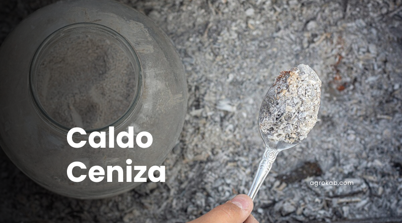 Cómo preparar caldo de ceniza: usos y beneficios en la agricultura orgánica