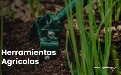 Cómo desinfectar las herramientas agrícolas: 7 pasos esenciales