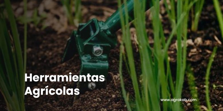 Desinfectar-herramientas Desinfectar las herramientas