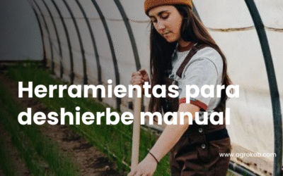 5 mejores herramientas manuales para malezas o deshierbe