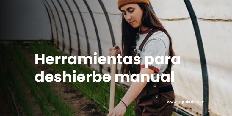 herramientas manuales para eliminar maleza las 5 herramientas manuales para eliminar maleza