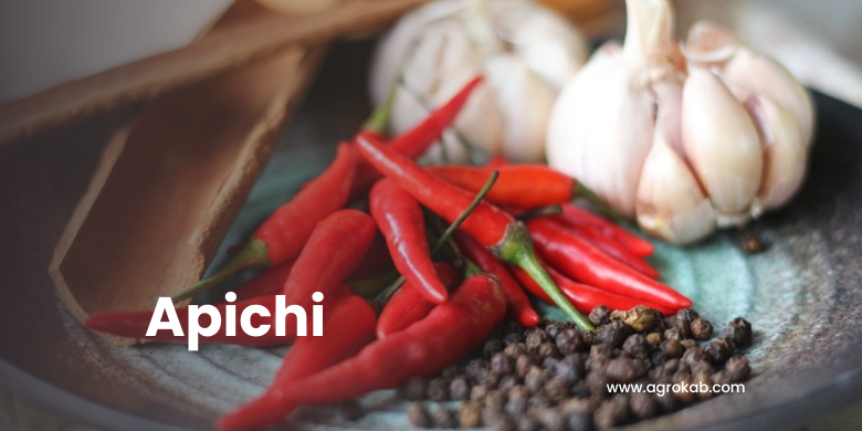 apichi elaborar apichi