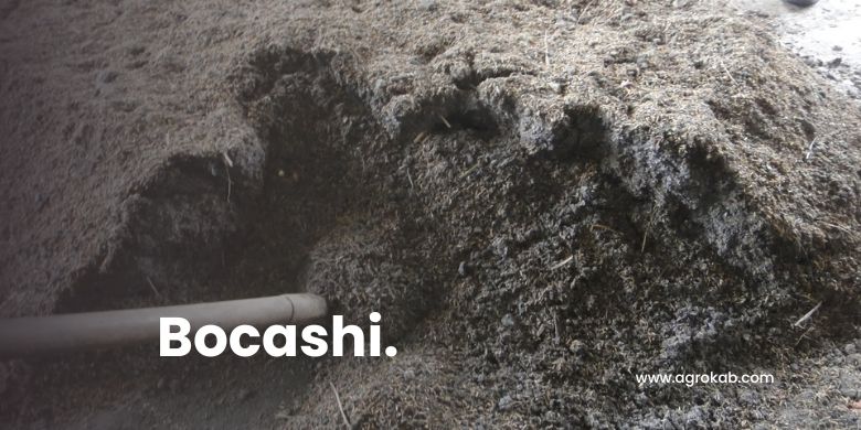 Cómo hacer bocashi paso a paso: Dosis y 7 beneficios para tu suelo