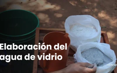 Cómo preparar y aplicar Agua de Vidrio para plantas