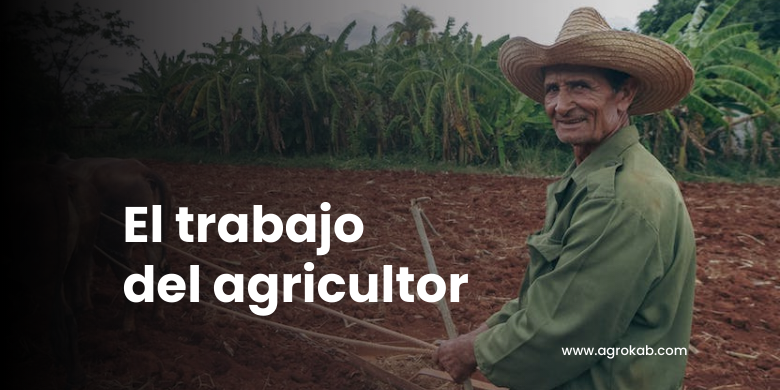 Labranza: Tipos más usados, sus beneficios y evaluación