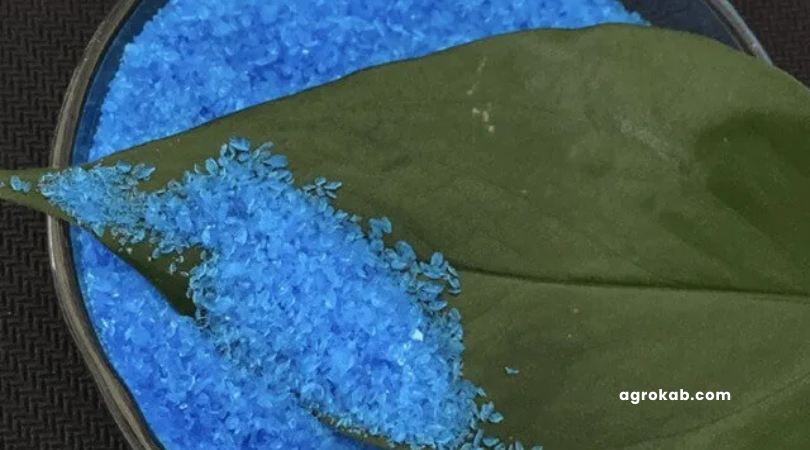 ¿Plantas con hongos? Aprende a usar caldo bordelés fácil