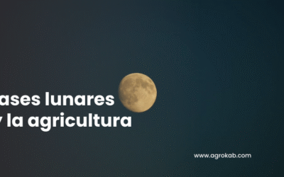 ¿Confundido con la luna en la agricultura? Aquí lo entenderás fácil