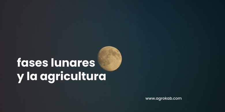 ¿Confundido con la luna en la agricultura? Aquí lo entenderás fácil
