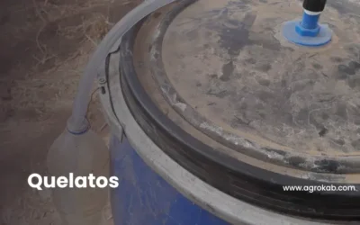 ¿Qué son los quelatos naturales y cómo potencian tus cultivos?