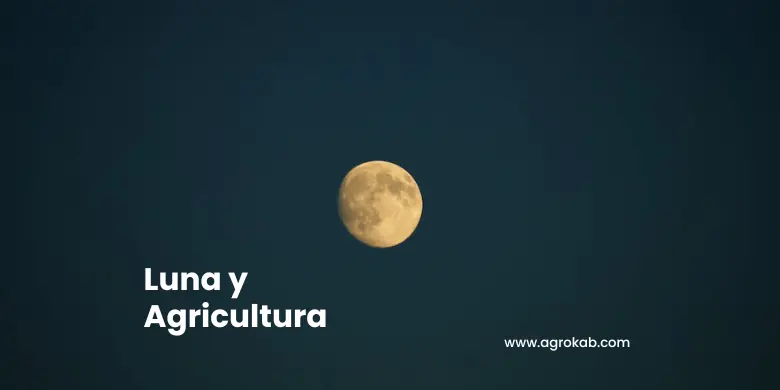 Luna y agricultura Luna y agricultura