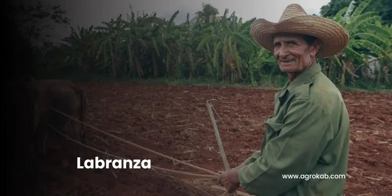 labranza