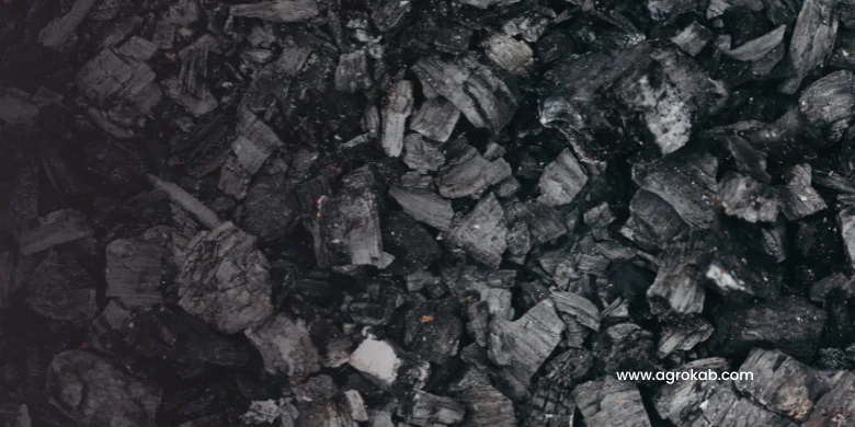 Biochar o carbón vegetal para plantas: cómo hacerlo y sus beneficios
