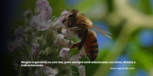 refugios naturales y proteger