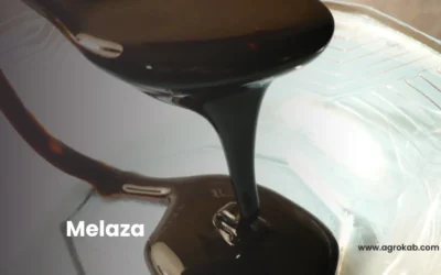 Para qué sirve la Melaza en las plantas: Usos, beneficios y dosis