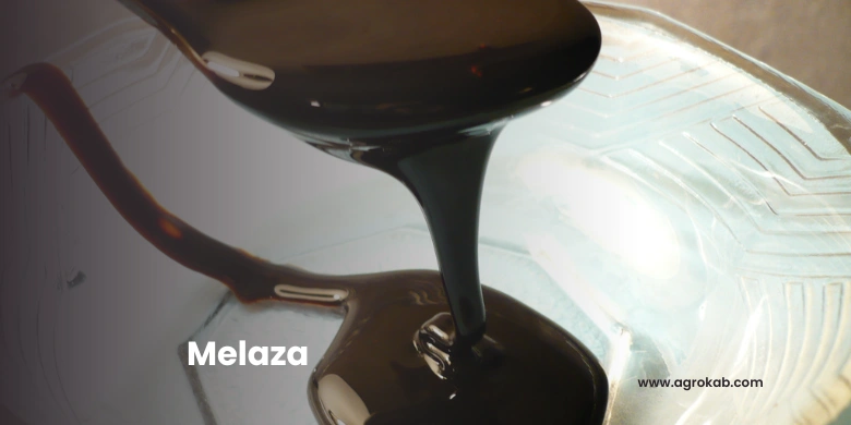 Para qué sirve la Melaza en las plantas: Usos, beneficios y dosis