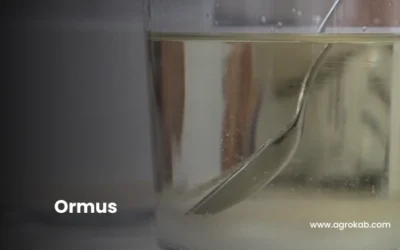 Cómo hacer Ormus marino paso a paso: 5 ingredientes esenciales y su efecto en plantas
