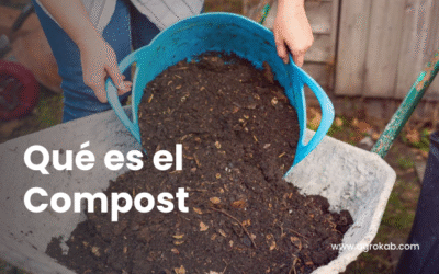 Compost : Beneficios y 5 uso en la agricultura orgánica