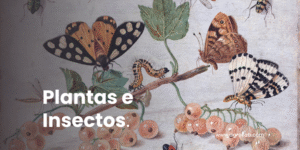 cooperación entre plantas e insectos