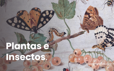 ¿Qué esconden insectos y plantas? | Cooperación entre insectos y plantas