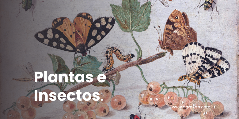 cooperación entre insectos y plantas cooperación entre plantas e insectos