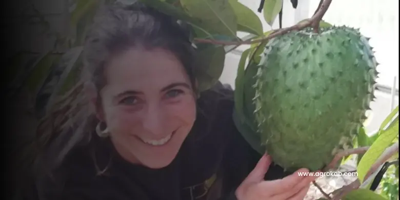 Guanabana