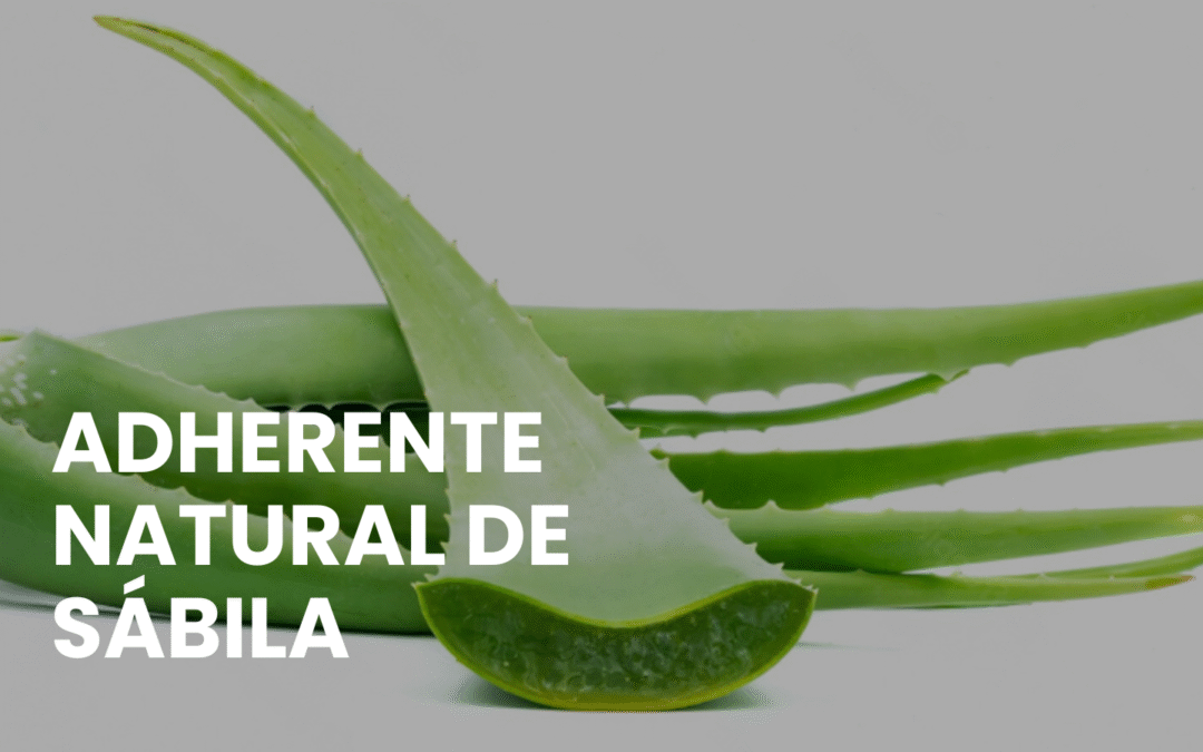 Cómo hacer adherente natural de sábila: dosis y uso en cultivos orgánicos