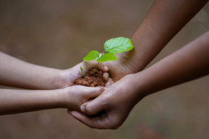 Cultivar sin agroquímicos método de Sepp Holzer