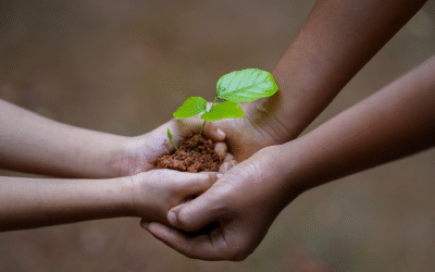 Cómo cultivar sin agroquímicos: 5 claves del método Holzer