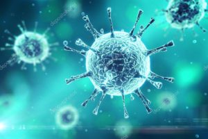 Bacterias Ácido Lácticas