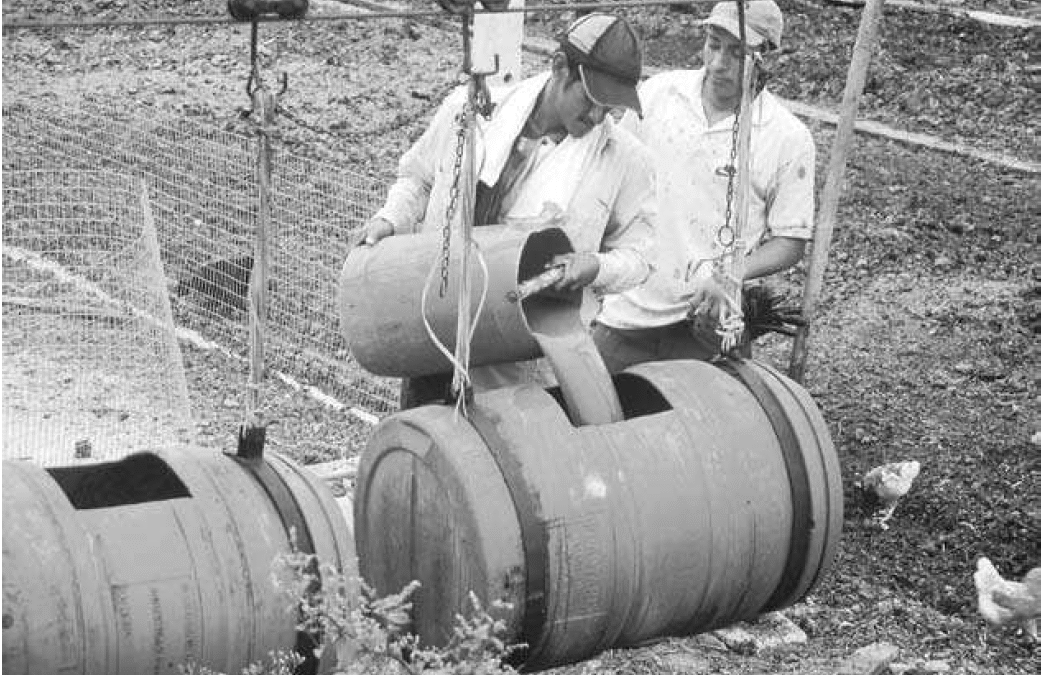 Cómo hacer abonos líquidos con estiércol y mulch: guía práctica