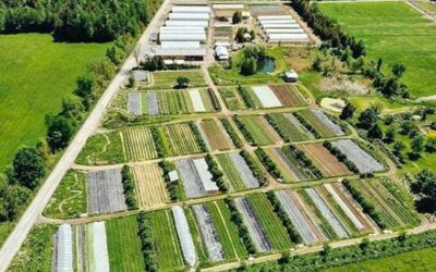 Conservación de Suelos con Curvas a Nivel: Fincas Regenerativas