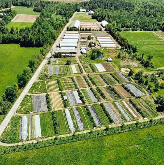 Conservación de Suelos con Curvas a Nivel: Fincas Regenerativas