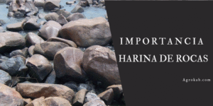 Harina de rocas
