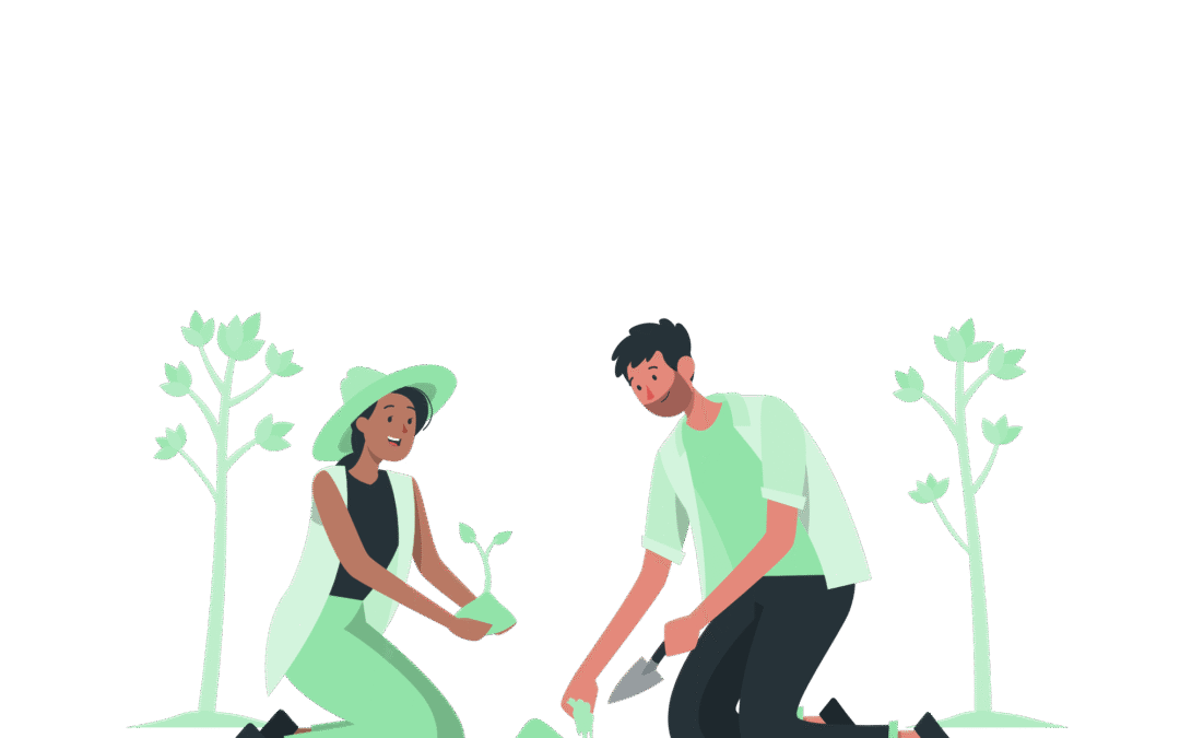 Diseño productivo de huertos familiares con técnicas de permacultura
