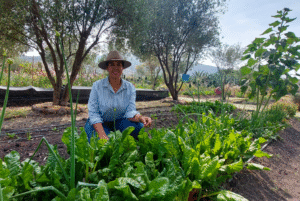 Agricultura orgánica regenerativa exito