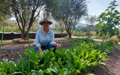 ¿Cómo cultivar sano y natural? : “Agricultura orgánica regenerativa"