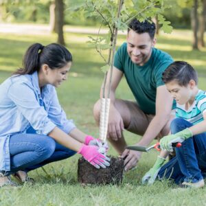 proteger las plantas compromiso
