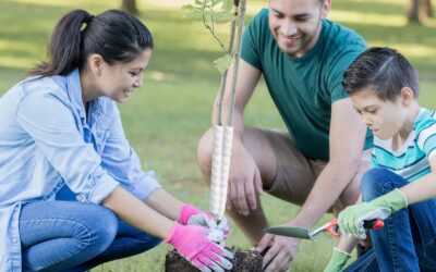 Ayudar a proteger las Plantas ¿Qué podemos hacer?